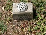image number Stammers Gwen  301